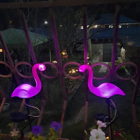 Hotel Gio-Nika Stepancminda Zewnętrze zdjęcie