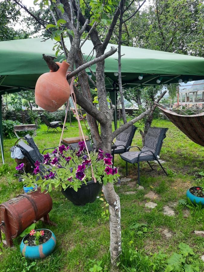 Hotel Gio-Nika Stepancminda Zewnętrze zdjęcie